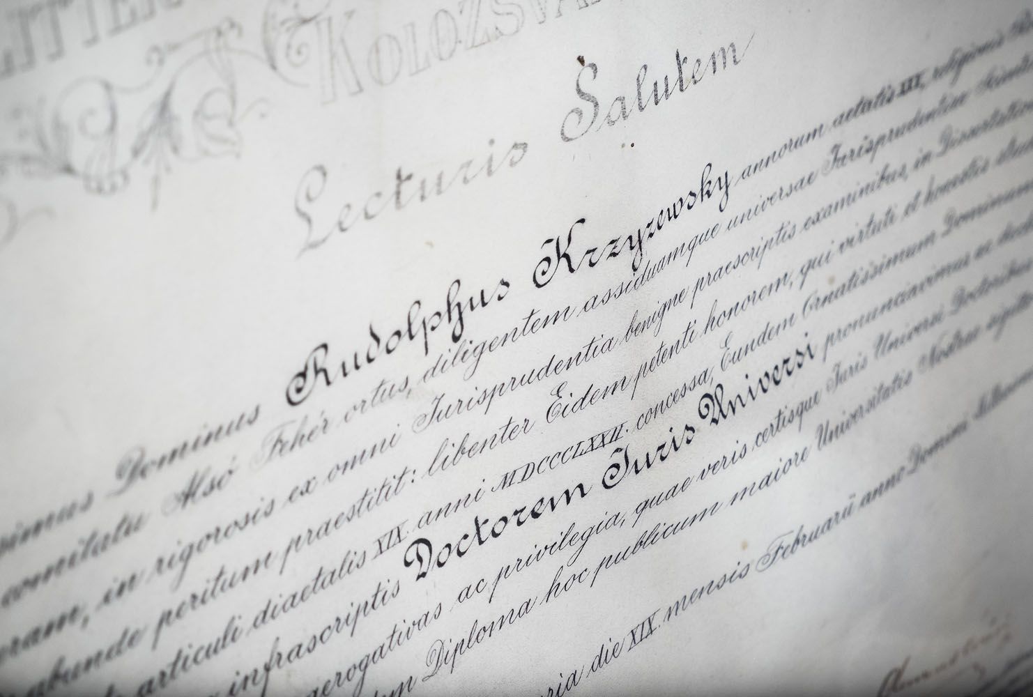 diploma